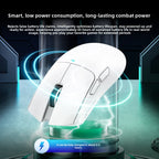 Ratón inalámbrico Attack Shark X11 para gaming | Ratón RGB ligero trimodo